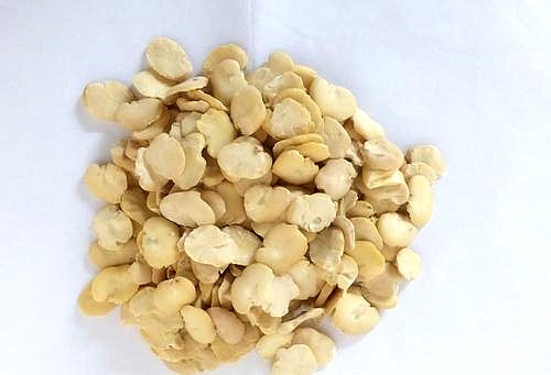 云南小型蚕豆脱皮机蚕豆去皮分瓣机 云南小型蚕豆脱皮机蚕豆去皮分瓣机